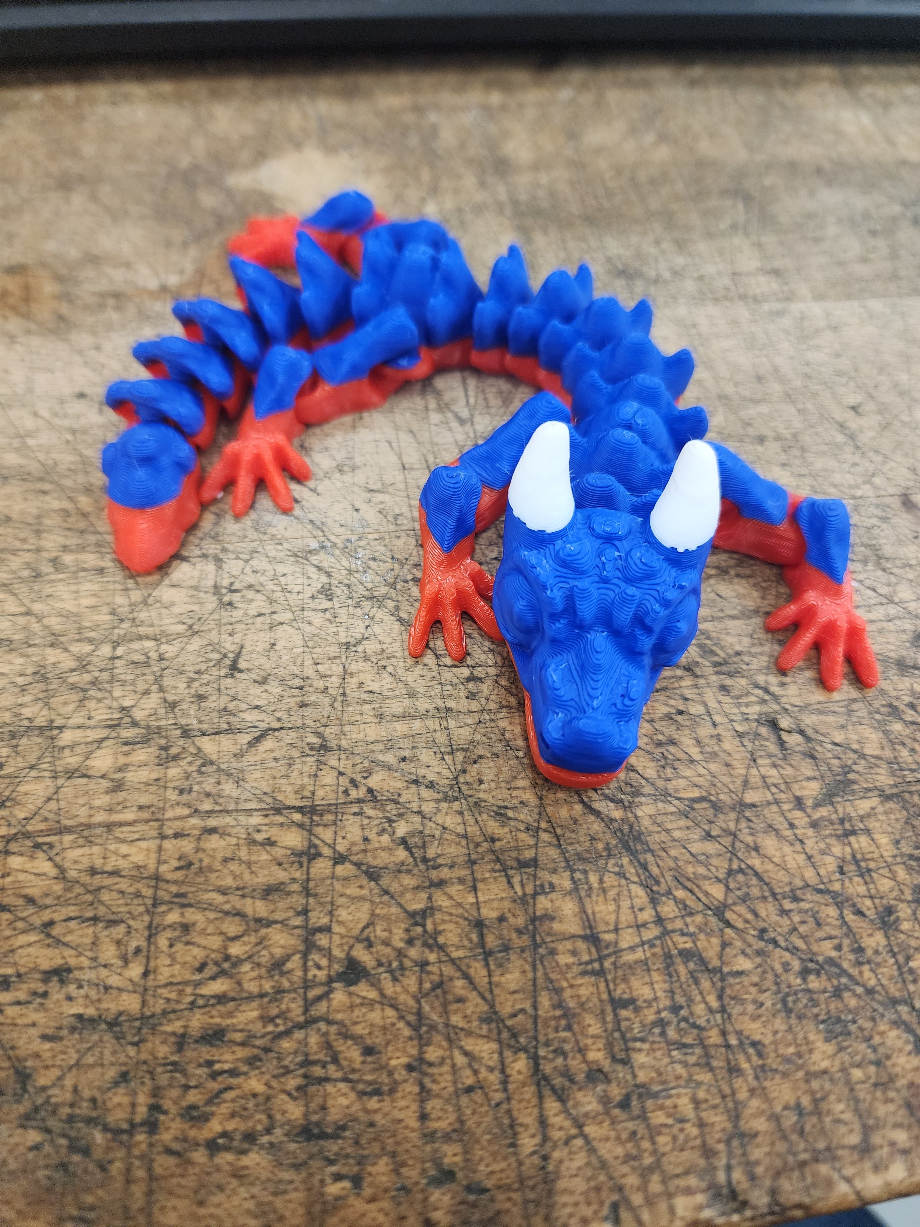 Flexible dragon